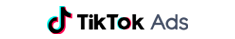 TikTok Ads blend